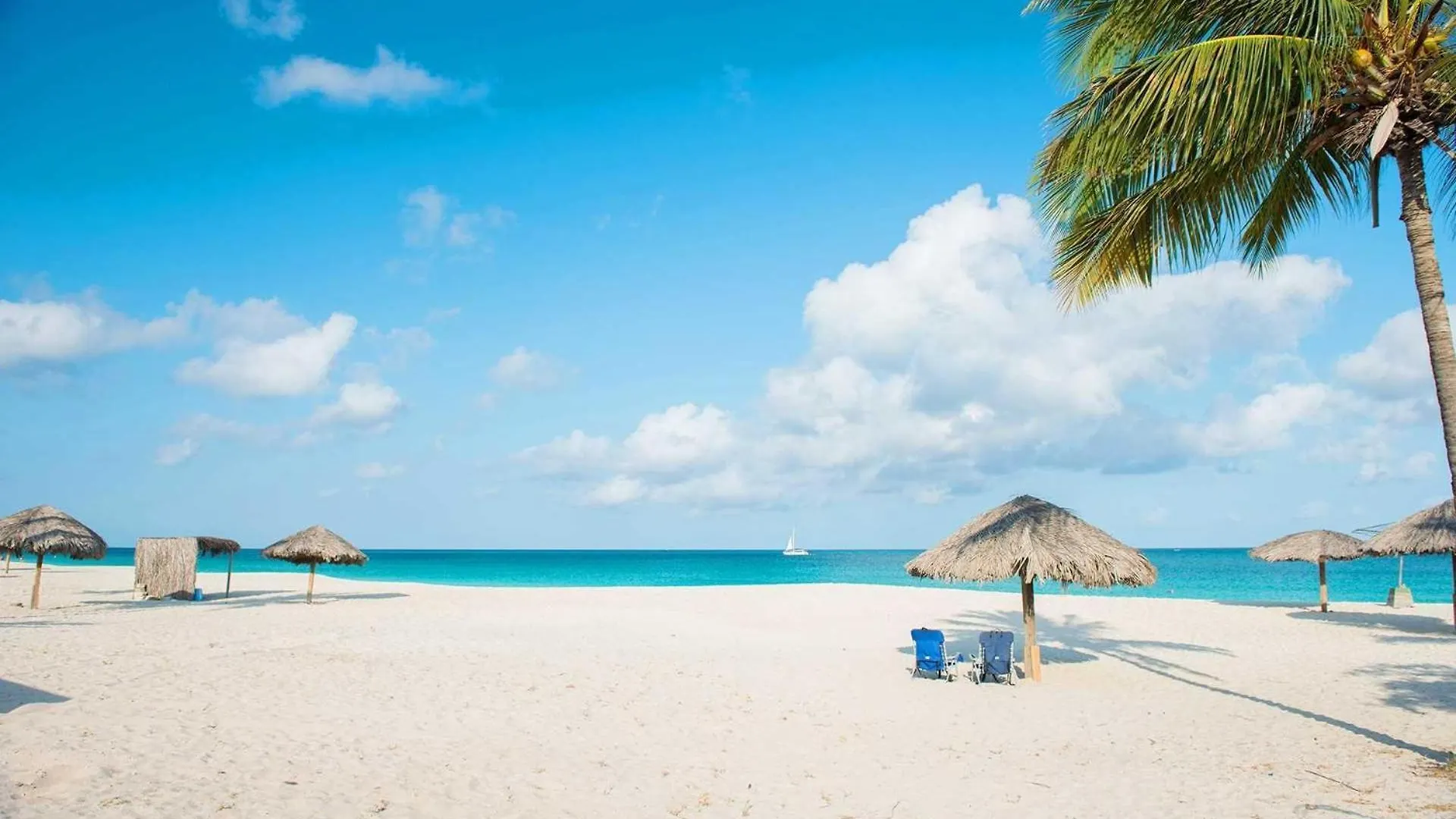 Semesterbostad Beachfront -Bella Vista Penthouse 2Br Condo - E523 Palm Beach