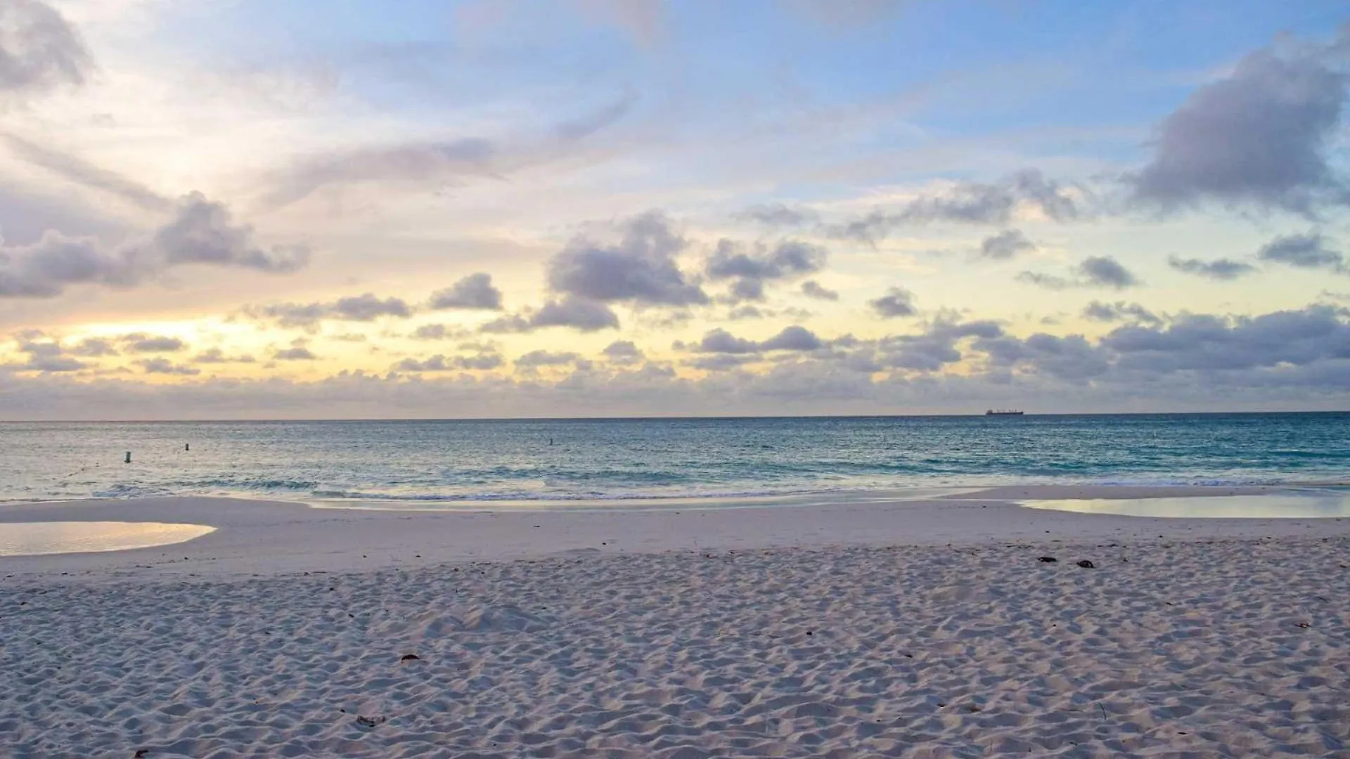 Beachfront -Bella Vista Penthouse 2Br Condo - E523 Palm Beach 0*,